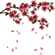 Spring Flowers Branches