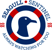 Academia Blue Seagull