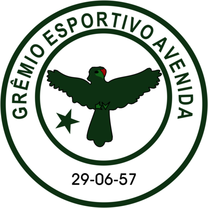 Gremio Esportivo Avenida de Soledade RS