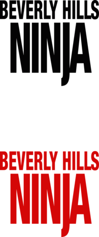 Beverly Hills Ninja