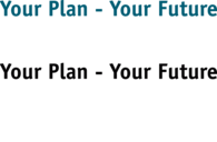 NDP Your Plan - Your Future