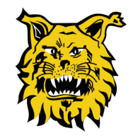 Footbal Club Ilves de Tampere