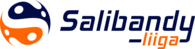 Salibandyliiga