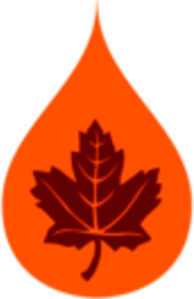 Canadian Hi Tech Lubricants