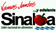 Sinaloa Juntos