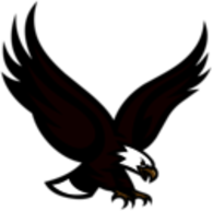 Boston_College_Eagles115[1]