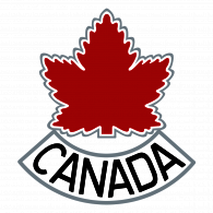 freestyle ski profi team