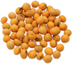 Dried Soybeans