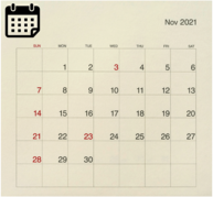 November 2021 Calendar