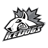 Mississauga Ice Dogs