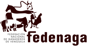 Fedenaga