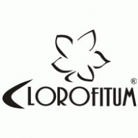 Clorofitum