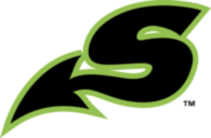 Shreveport Swamp Dragons