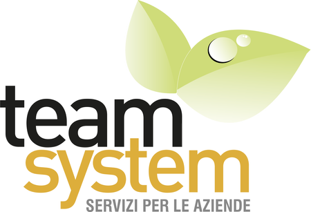 Team System servizi per le imprese