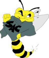 Sacramento State Hornets
