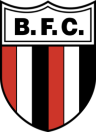 botafogo fc