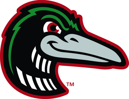 Great Lakes Loons