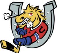 Barrie Colts