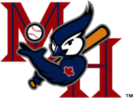 Medicine Hat Blue Jays