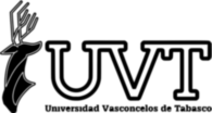 Universidad Vasconcelos de Tabasco.