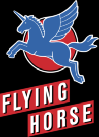 Flying Horse