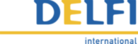 Delfi International