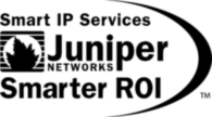 Smart IP Services Smarter ROI
