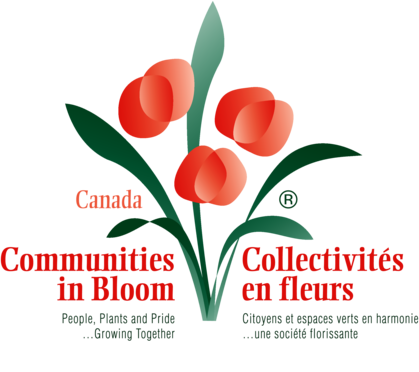 Communities in Bloom