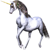 Full White Unicorn Flowers In Manes