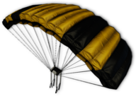 Yellow and Black Parachute