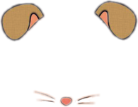 Snapchat Mouse Ears Filter