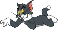 Tom and Jerry Cat