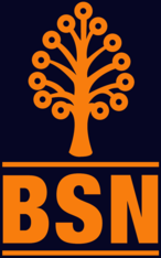 logo bsn