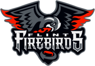 Flint Firebirds 