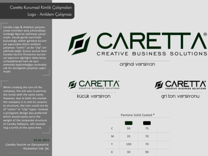 Caretta Software & Consultancy Services Ltd.