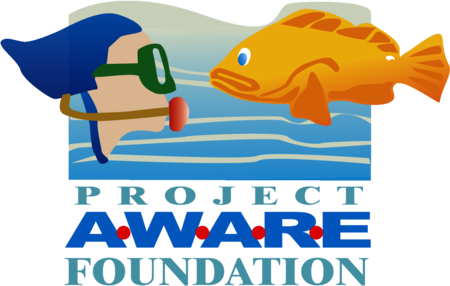 project aware foundation