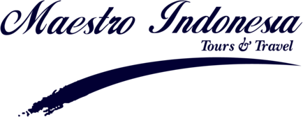 Maestro Tours & Travel