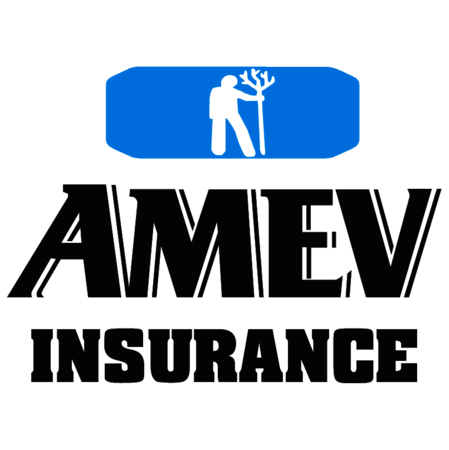 Amev Insurance