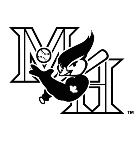 Medicine Hat Blue Jays