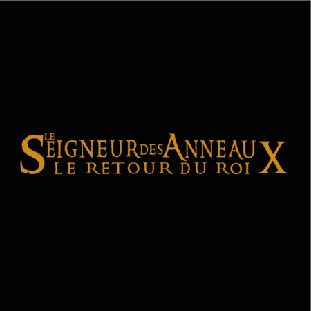 Le Seigneur Des Anneaux