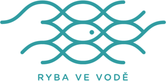 Ryba ve vode - Perfect Crowd