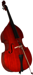 Double Bass