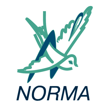 Norma