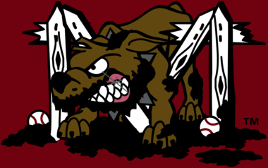 Batavia Muckdogs 58683