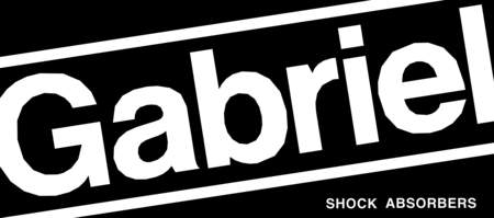 GABRIEL SHOCKS