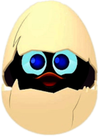 Calimero Hatching