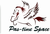 Pas-time Space