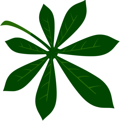 TatvaSoft - Software Development India