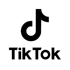 TikTok Logo Black
