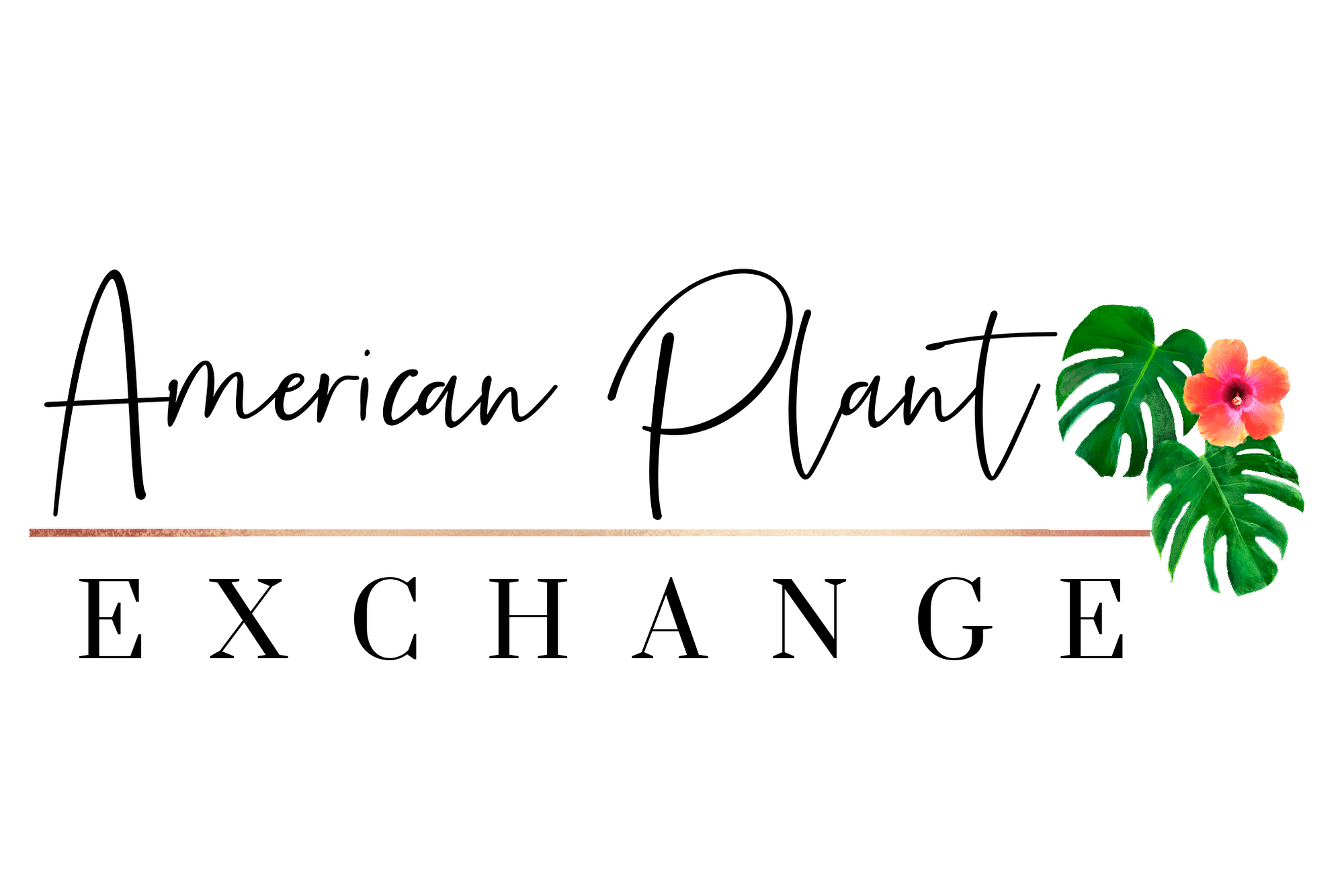 American Plant Exchange 